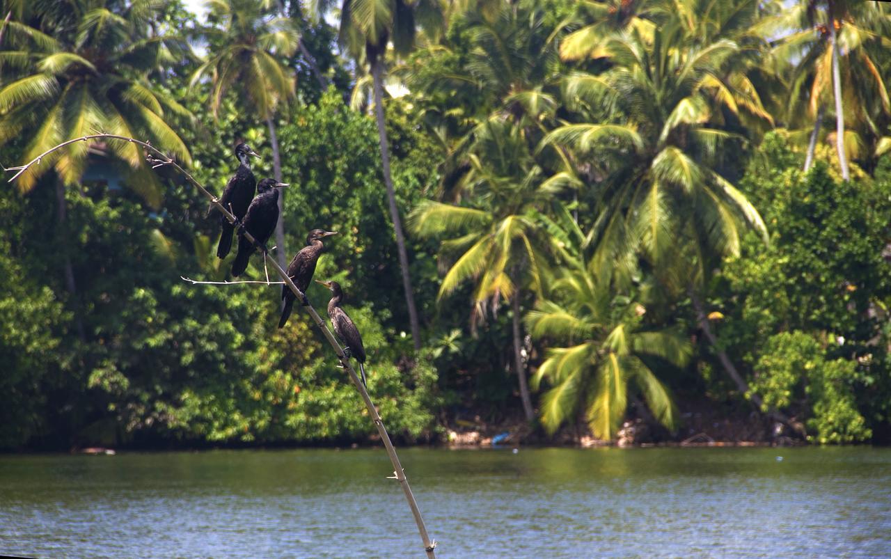 New Shangrela Beach Resort Ambalangoda  Eksteriør bilde